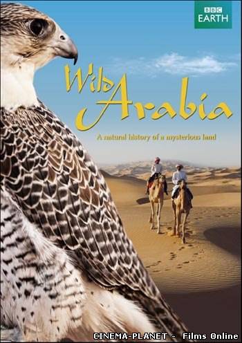 Таємнича Аравія / Wild Arabia (2013) українською онлайн без реєстрації